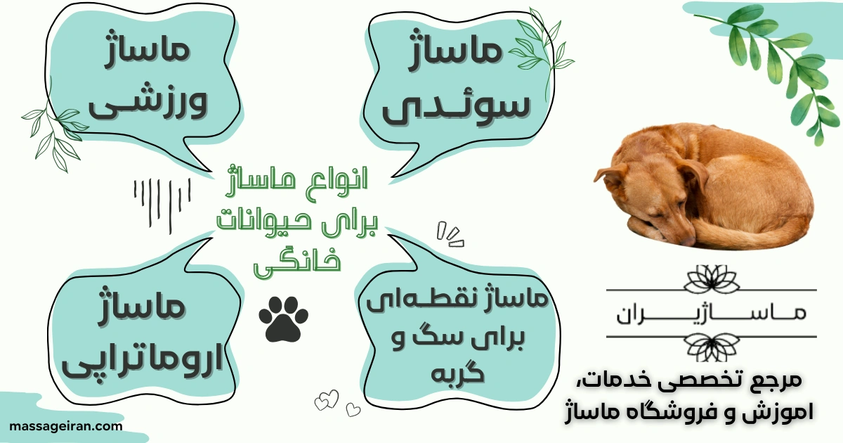 انواع ماساژ برای حیوانات خانگی اینفوگرافی